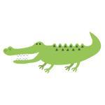 Alligator