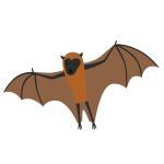 Bat