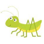 Grasshopper