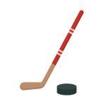 Hockey Stick