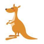 Kangaroo