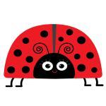 Ladybug