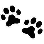 Paw Print