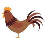 Rooster