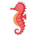 Seahorse
