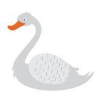 Swan