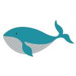 Whale